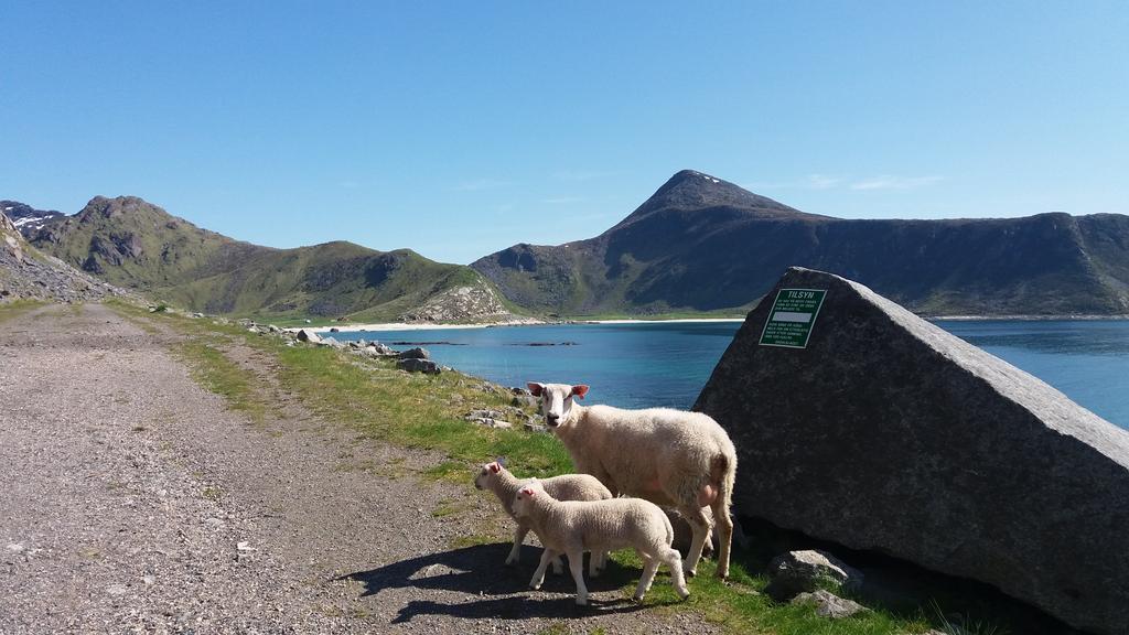 Feriehus Med Flott Havutsikt Ved Hauklandstranden Leknes Bagian luar foto